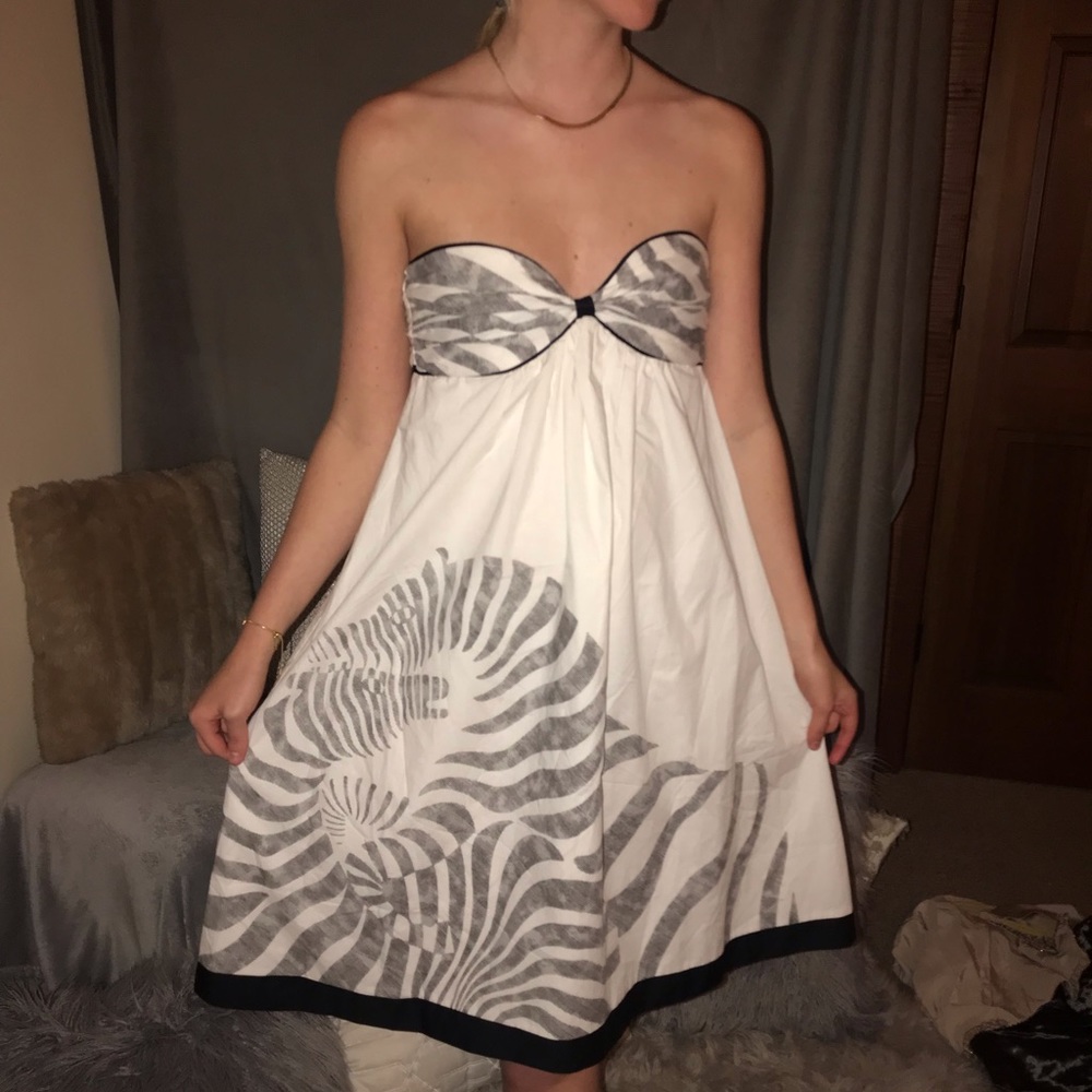 ⭐️Strapless cotton zebra dress (8)